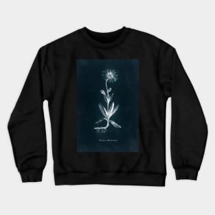 Cyanotype - Arnica Montana Crewneck Sweatshirt